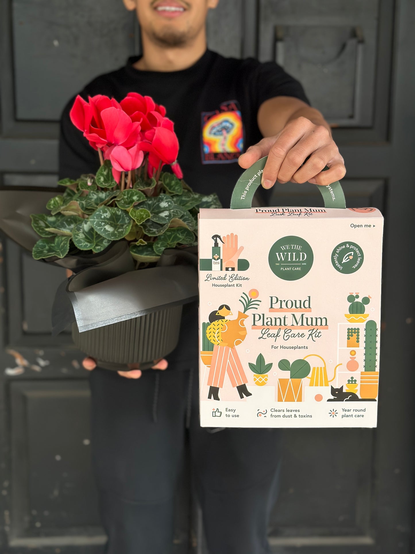 Cyclamen Plant + Care kit