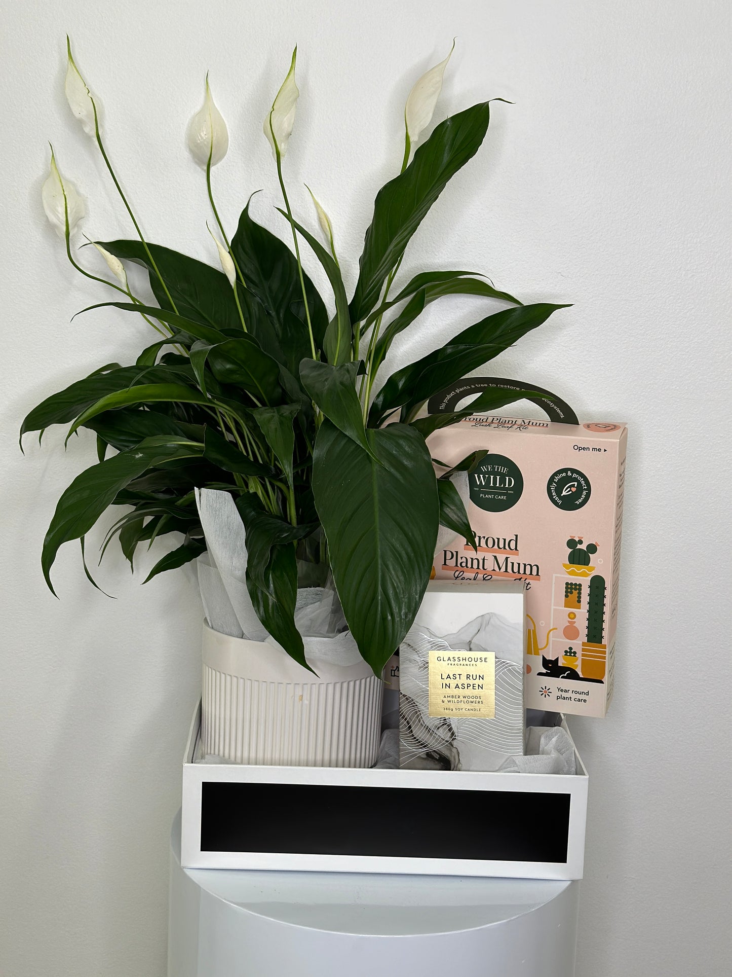 Plant lovers Hamper